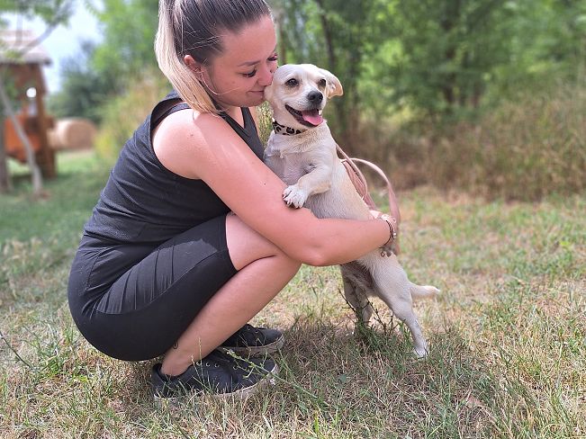 pfotenretterungarn Sofia (5)