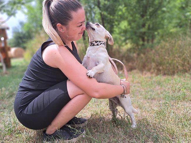 pfotenretterungarn Sofia (6)