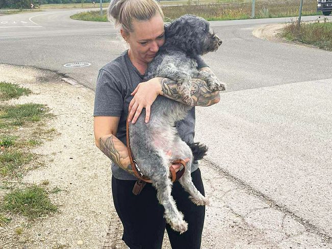 pfotenretterungarn Ronja (11)