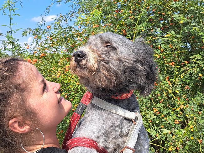 pfotenretterungarn Ronja (2)