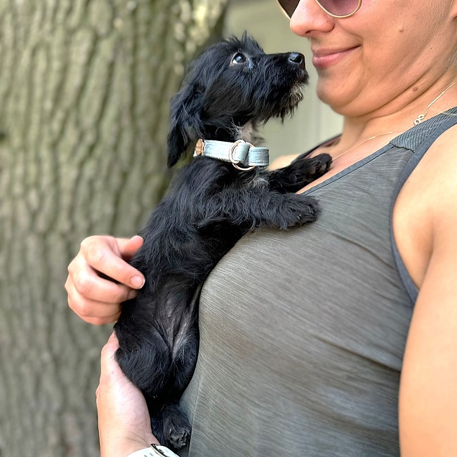 pfotenretterungarn Sarah-Jane (2)