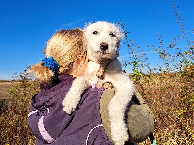 pfotenretterungarn Enya (3)