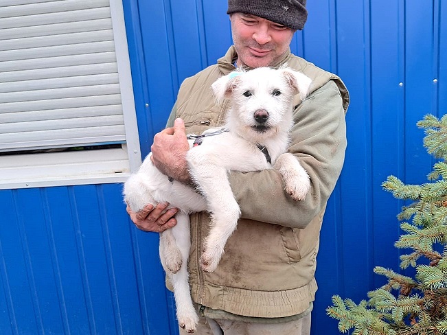 pfotenretterungarn Enya Ausreise (1)