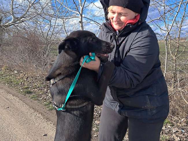 pfotenretterungarn Baby Feb-26 (6)