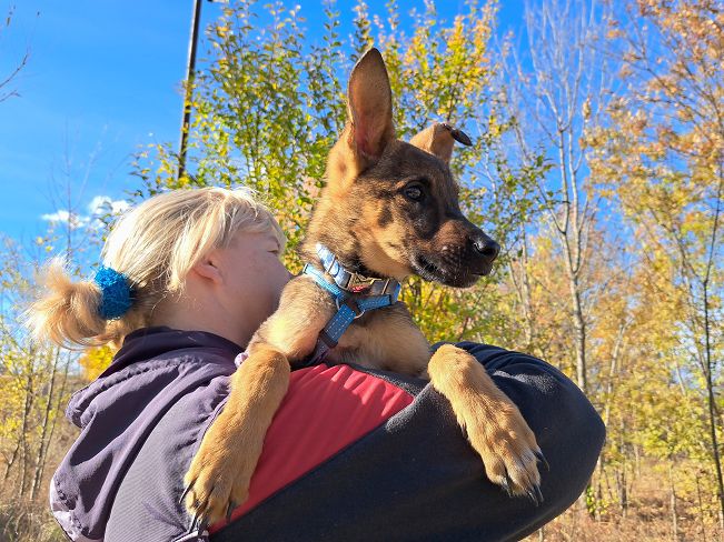 pfotenretterungarn Benny (8)