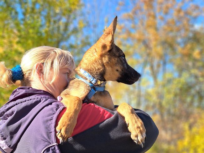 pfotenretterungarn Benny (9)