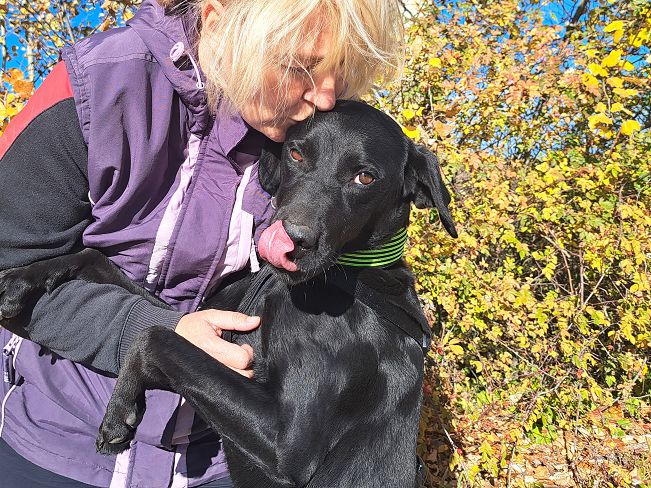 pfotenretterungarn Herceg (10)