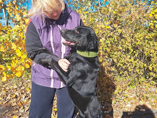 pfotenretterungarn Herceg (7)