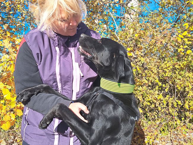 pfotenretterungarn Herceg (8)