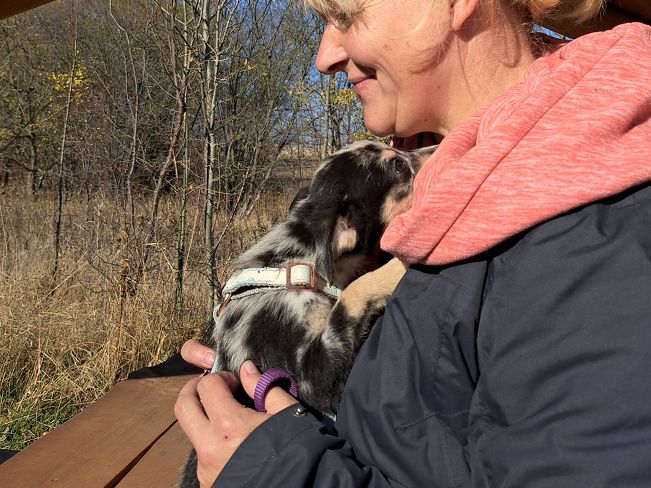 pfotenretterungarn Neil (8)