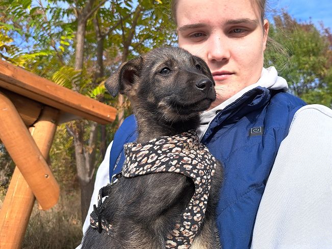 pfotenretterungarn Rigatoni (13)