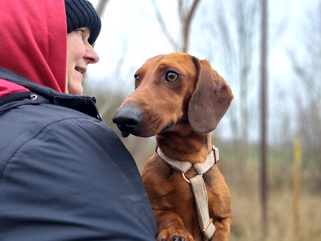 pfotenretterungarn Nico (5)