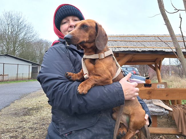 pfotenretterungarn Nico (7)