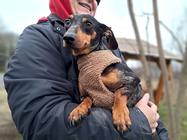 pfotenretterungarn Nora (5)