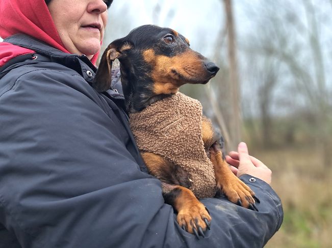 pfotenretterungarn Nora (6)