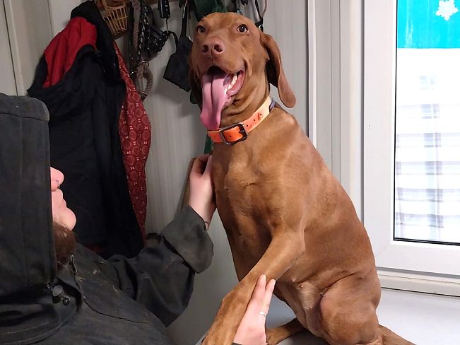 pfotenretterungarn Zara (13)