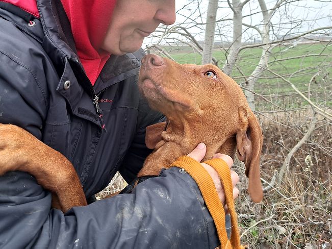 pfotenretterungarn Zara (4)