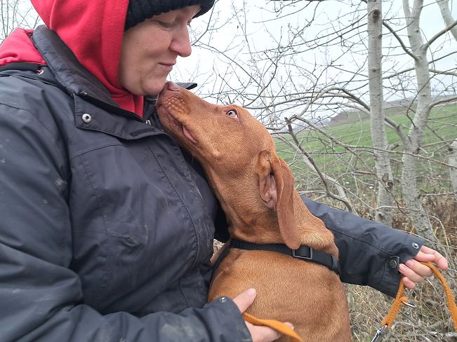 pfotenretterungarn Zara (5)