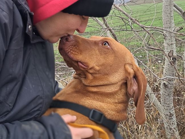 pfotenretterungarn Zara (6)