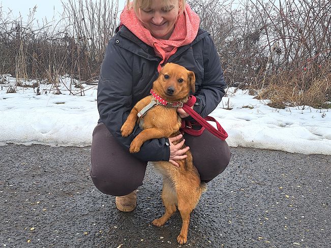 pfotenretterungarn Adelie (11)