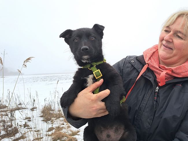 pfotenretterungarn Joschi (9)