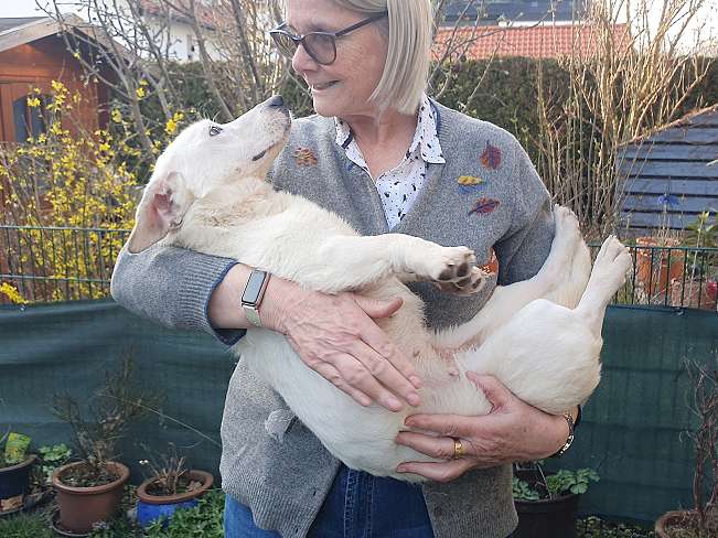 pfotenretterungarn Kimberly PS (Gabi) (13)