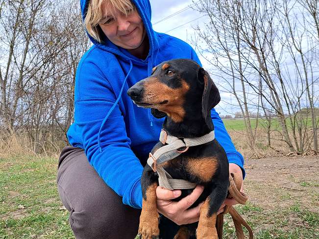 pfotenretterungarn Aladin (6)