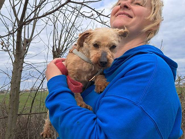 pfotenretterungarn Cassy (3)