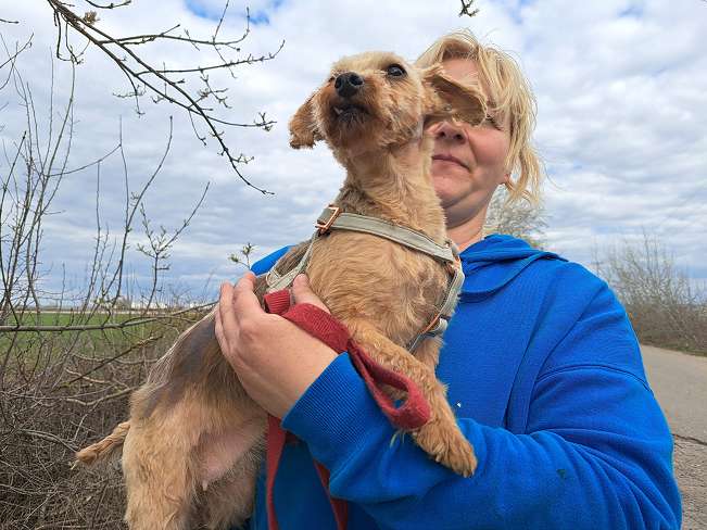 pfotenretterungarn Cassy (4)