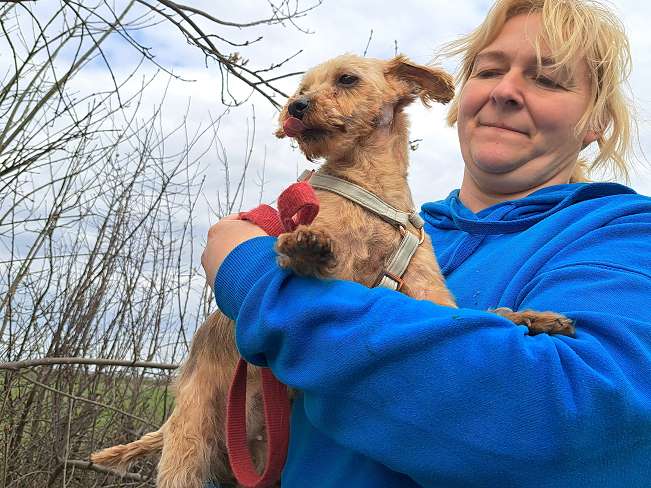 pfotenretterungarn Cassy (9)