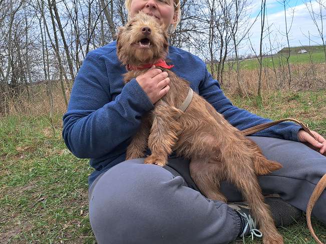 pfotenretterungarn Gucci (5)