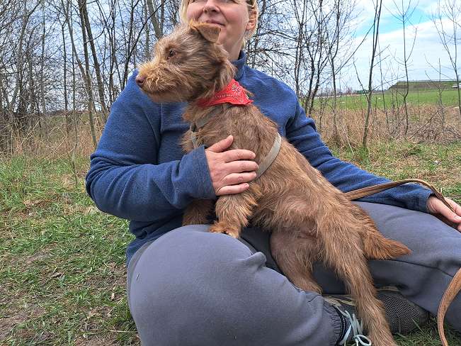 pfotenretterungarn Gucci (6)