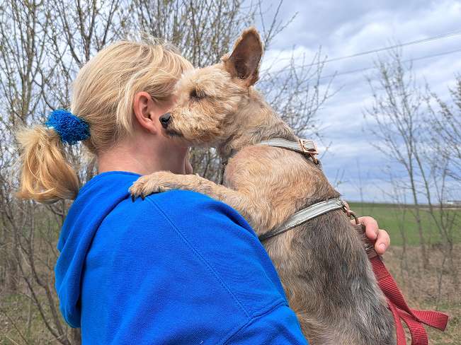 pfotenretterungarn Jill (10)