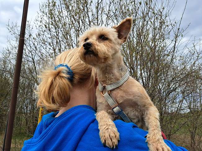 pfotenretterungarn Jill (2)