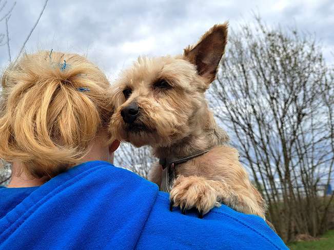 pfotenretterungarn Jill (4)