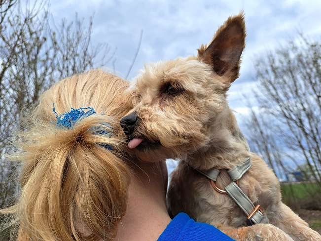 pfotenretterungarn Jill (6)