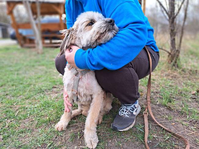 pfotenretterungarn Kiana (2)