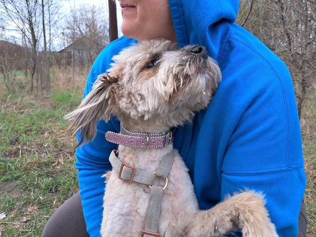 pfotenretterungarn Kiana (3)