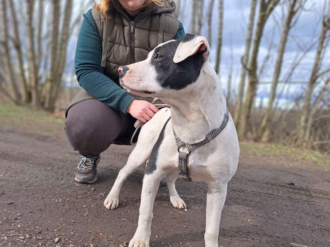 pfotenretterungarn Lindsay (10)