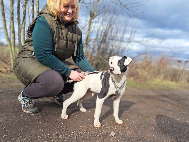 pfotenretterungarn Lindsay (6)