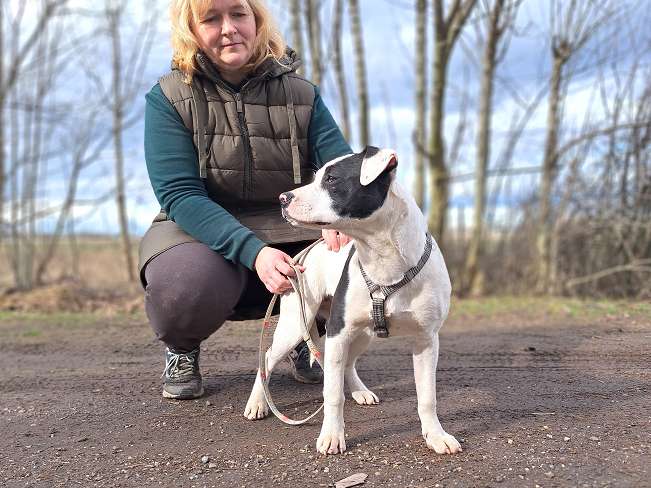 pfotenretterungarn Lindsay (7)