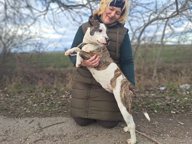 pfotenretterungarn Loretta (12)