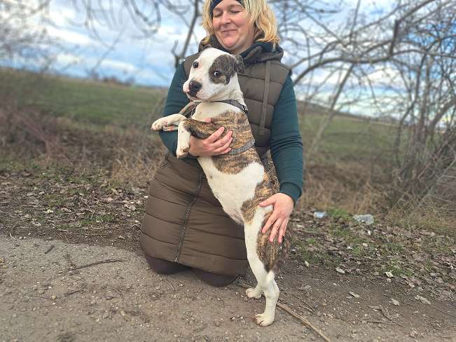 pfotenretterungarn Loretta (5)