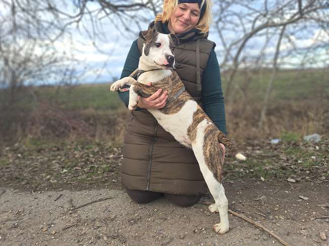 pfotenretterungarn Loretta (6)