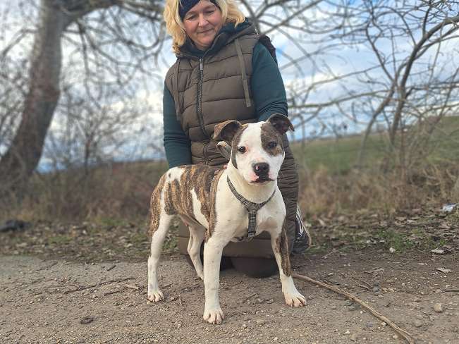 pfotenretterungarn Loretta (7)