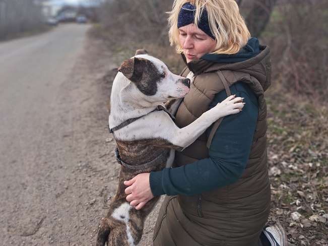 pfotenretterungarn Loretta (9)