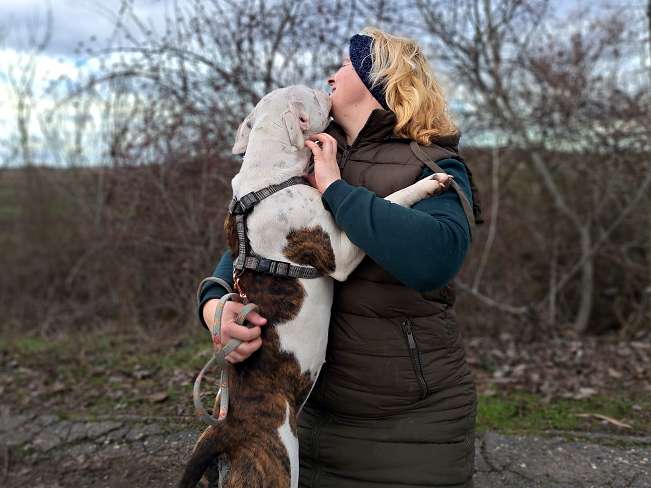 pfotenretterungarn Lucio (4)