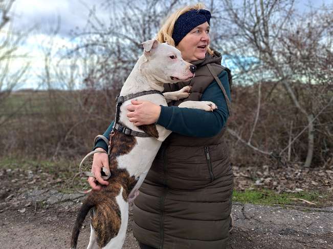 pfotenretterungarn Lucio (6)