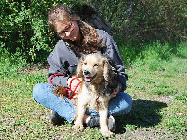 pfotenretterungarn Mbappé Apr-26 (13)