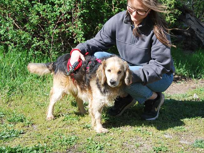 pfotenretterungarn Mbappé Apr-26 (14)